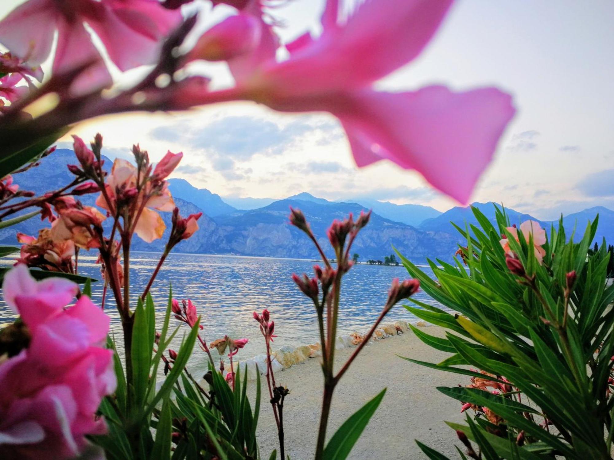 Hotel Drago - Garda Lake Collection Brenzone sul Garda Eksteriør bilde